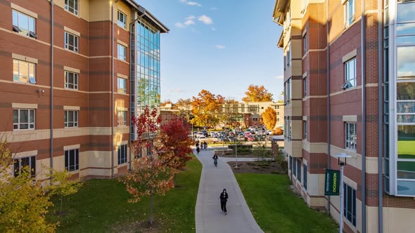 Board and governance practices